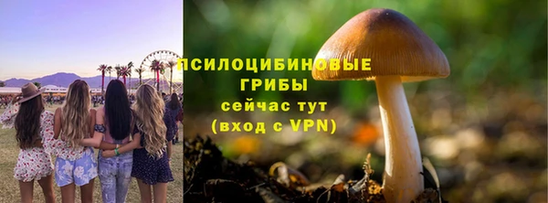 мет Белокуриха