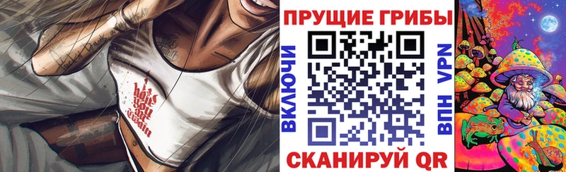 Галлюциногенные грибы мицелий где купить наркоту Мезень